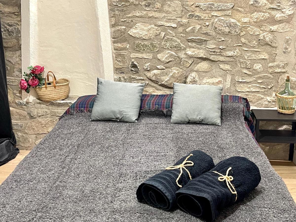 Apartamento Colgante Al Rio Con Vistas Al Puente Camprodon Esterno foto